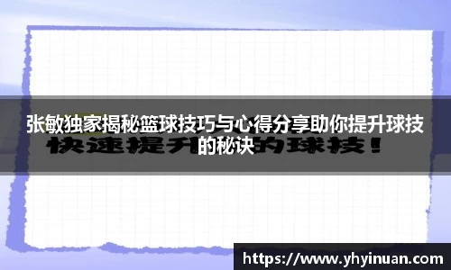 张敏独家揭秘篮球技巧与心得分享助你提升球技的秘诀
