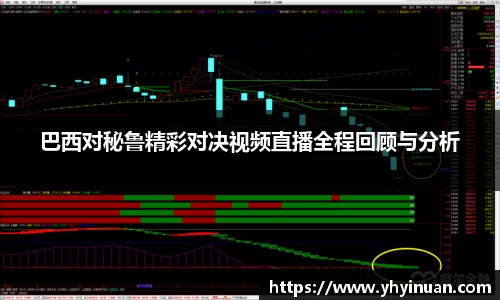 巴西对秘鲁精彩对决视频直播全程回顾与分析