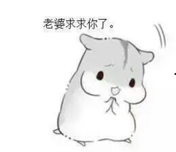 老婆对不起,老婆，对不起，我错了